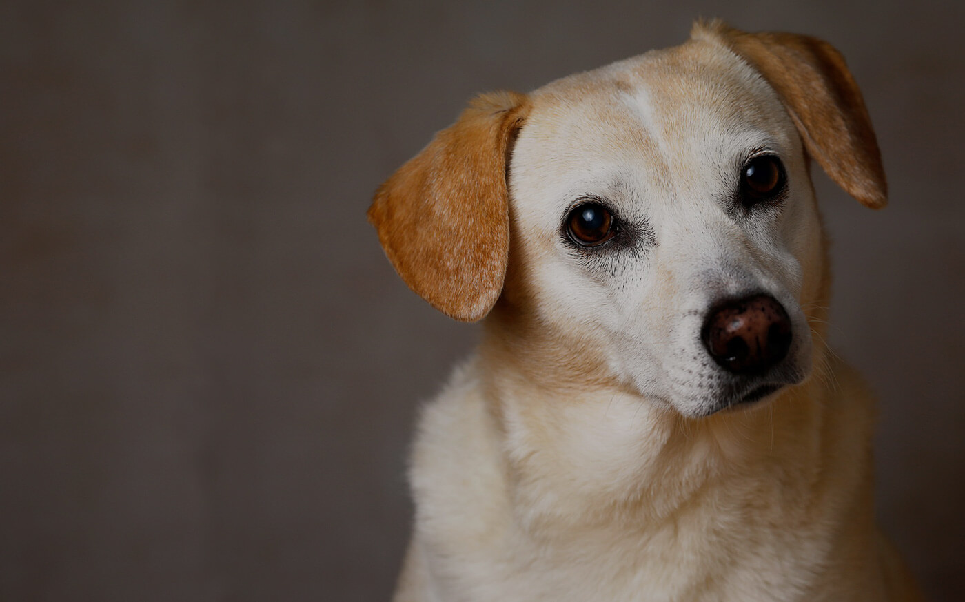 ΥΠΗΡΕΣΙΑ ΑΝΑΚΟΙΝΩΣΕΩΝ ΣΤΑ SOCIAL