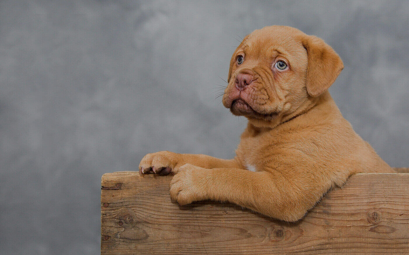 ΥΠΗΡΕΣΙΑ MARKETPLACE